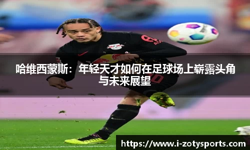 中欧体育