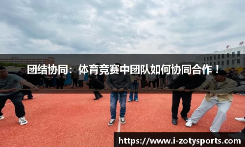 中欧体育